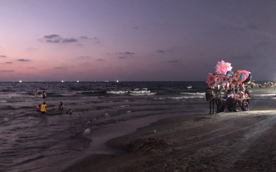 Gaza by the Sea