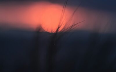 Luminous Fragments: Two Poems by Giuseppe Ungaretti