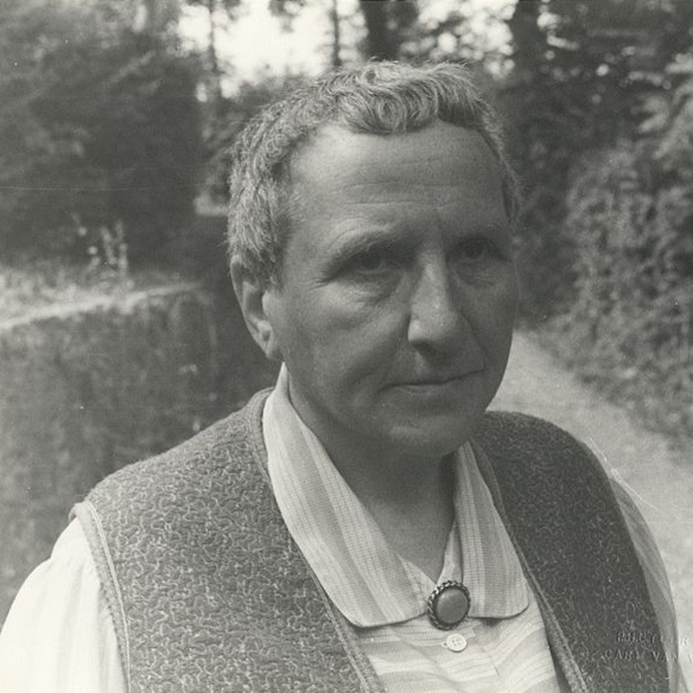 Gertrude Stein by Carl Van Vechten
