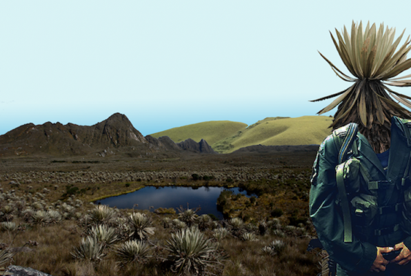 Ilustracion_Territorios._-LisaColorado
